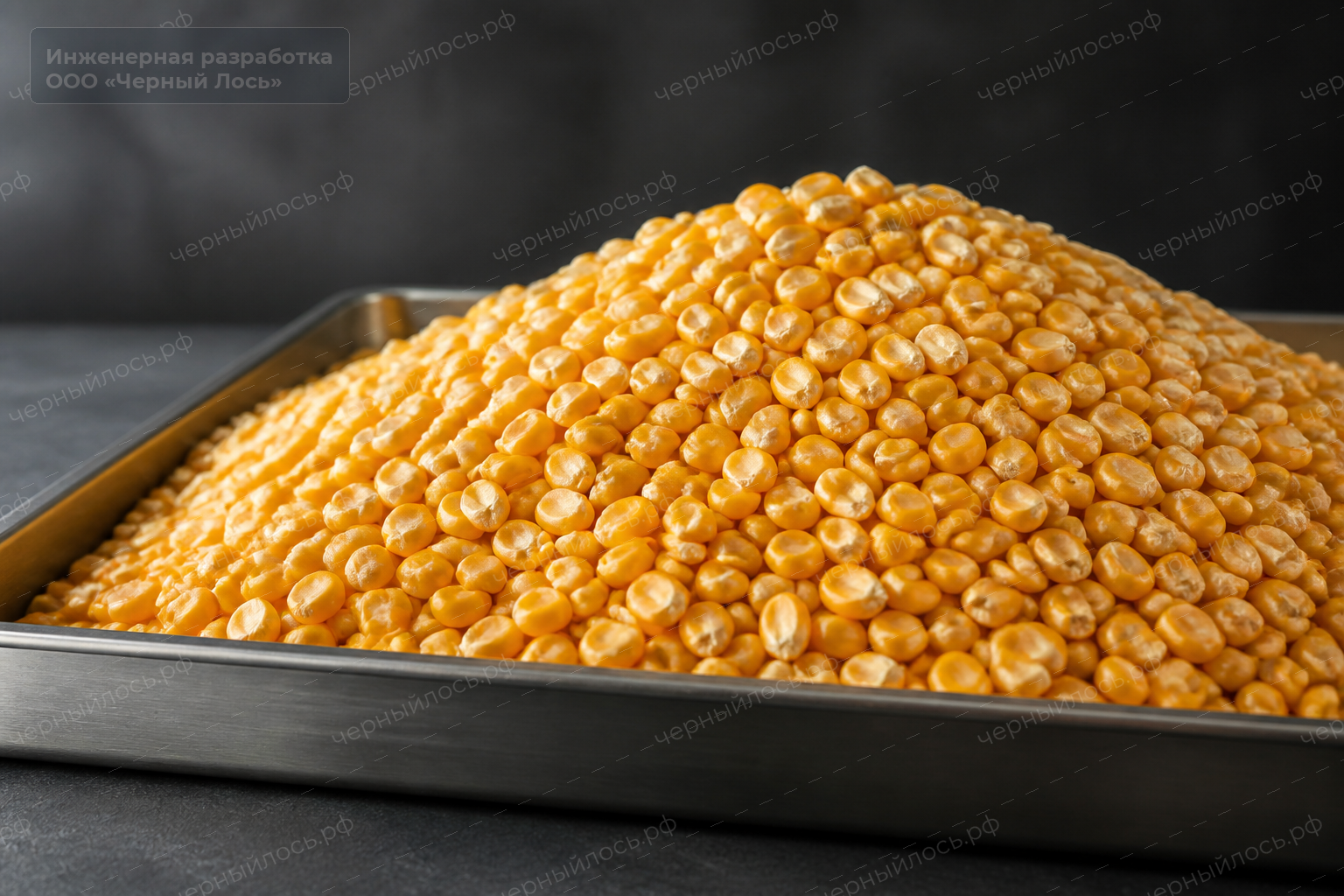 Злаки